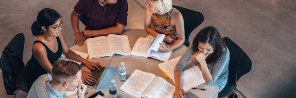 Study Programmes